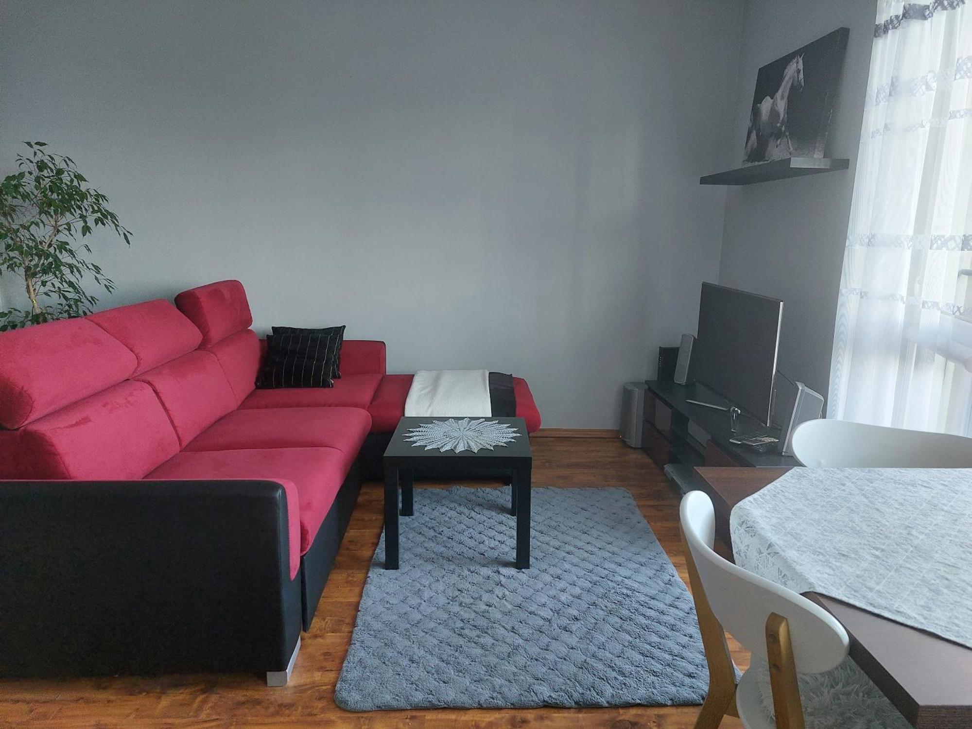 Apartament Studio 8